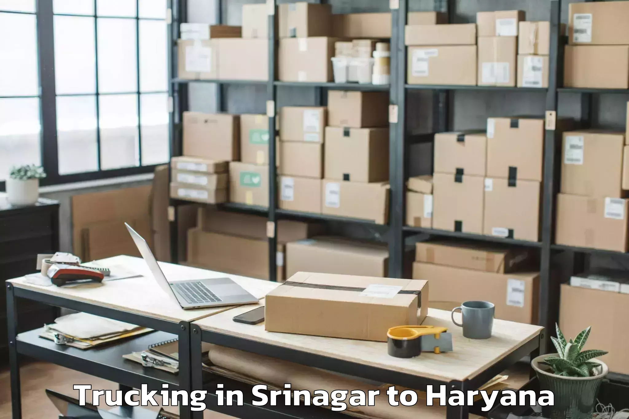 Top Srinagar to Srm University Haryana Sonipat Trucking Available